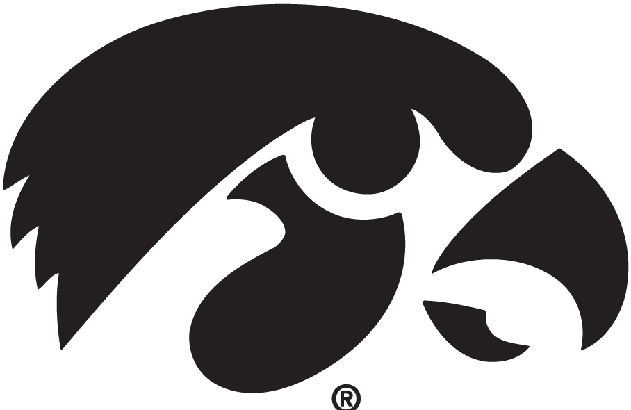 Iowa Hawkeyes 1979-Pres Alternate Logo fabric transfers